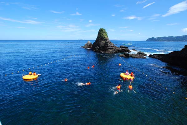 アクティビティ